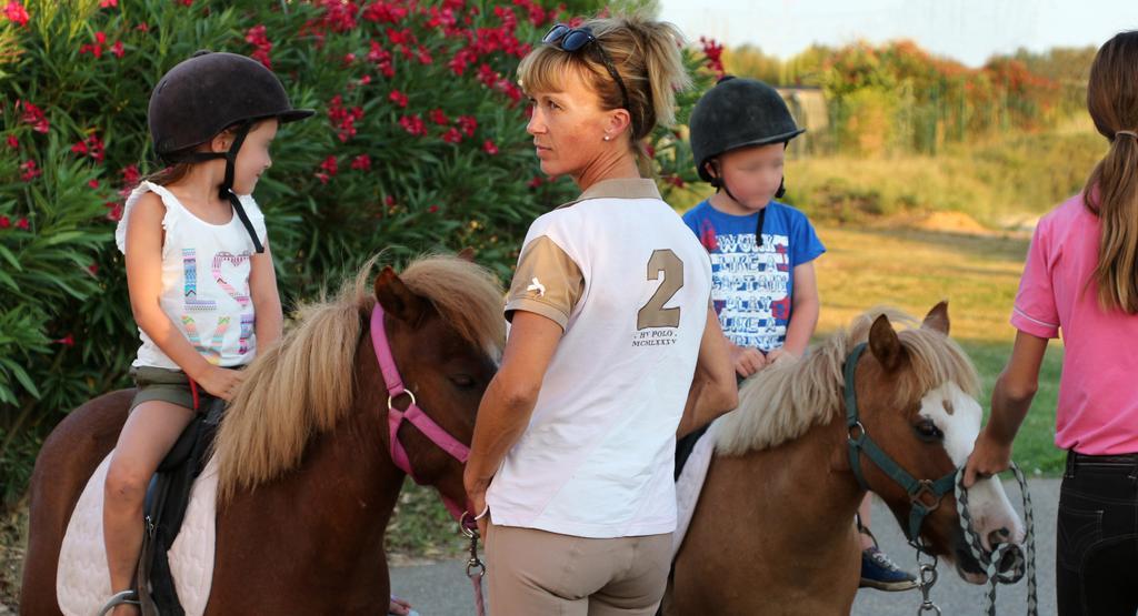 Hotel Restaurant Les Jasses De Camargue แกลลาเกอ-เลอ-มองต์เทอร์ ภายนอก รูปภาพ